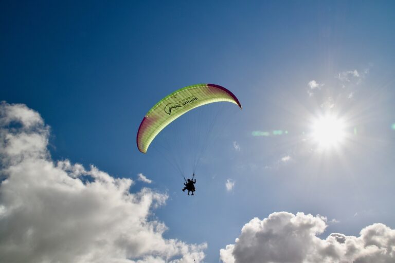 T20exchange Review: Transforming Cricket Betting with Innovative Features and Secure Play